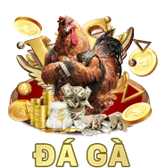 Bảo mật 26*88